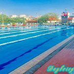 Hồ bơi Nguyễn Tri Phương